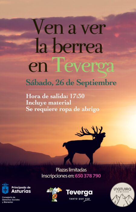 berrea teverga